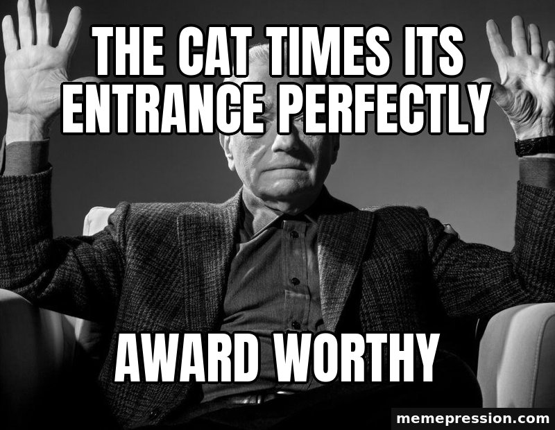 Absolute Cinema meme: The cat times its entrance perfectly / Award worthy