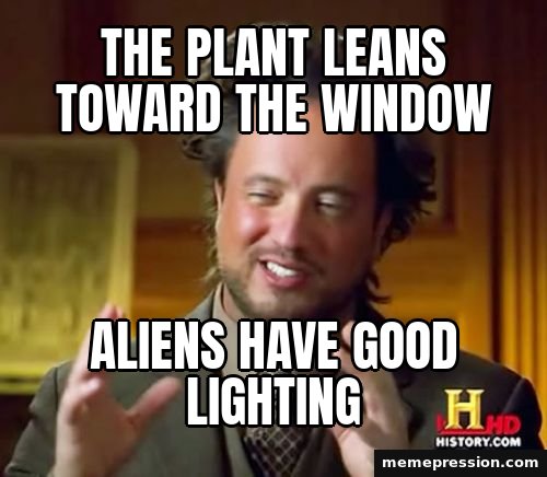 Ancient Aliens meme: The plant leans toward the window / Aliens have good lighting