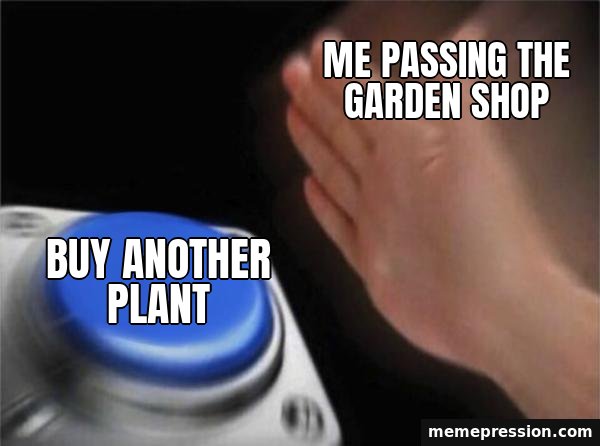 Blank Nut Button meme: Buy another plant / Me passing the garden shop