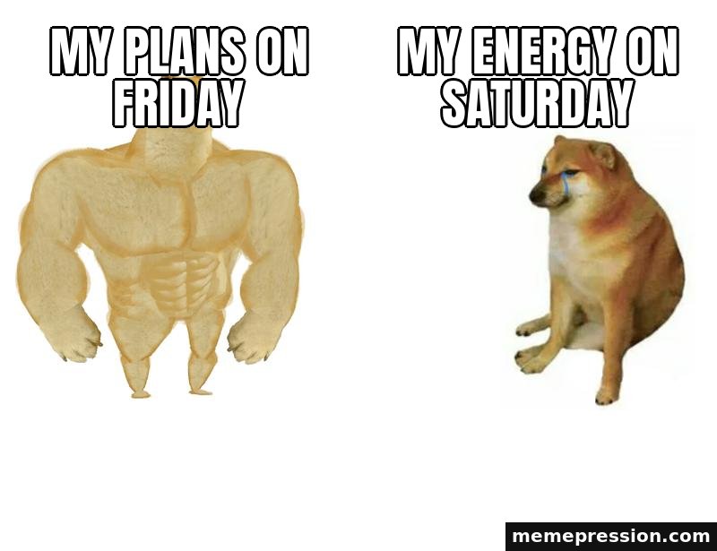 Buff Doge vs. Cheems meme: My plans on Friday / My energy on Saturday