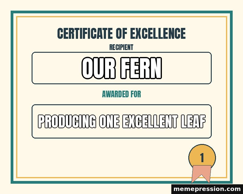 Certificate of Small Excellence meme: Our fern / Producing one excellent leaf