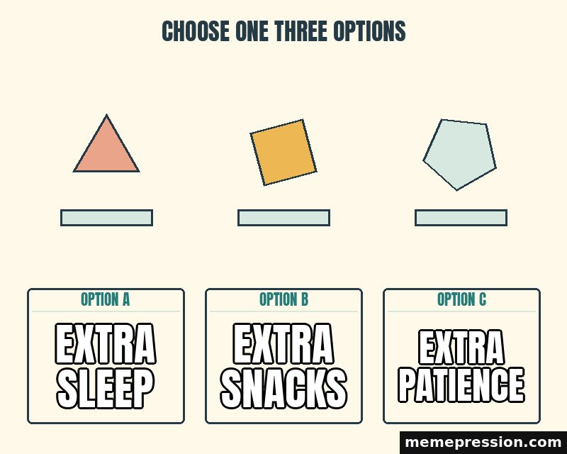 Choose One Three Options meme: Extra sleep / Extra snacks / Extra patience