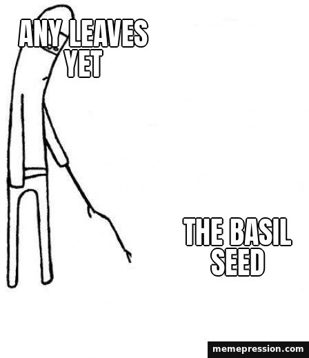 C'mon Do Something meme: Any leaves yet / The basil seed