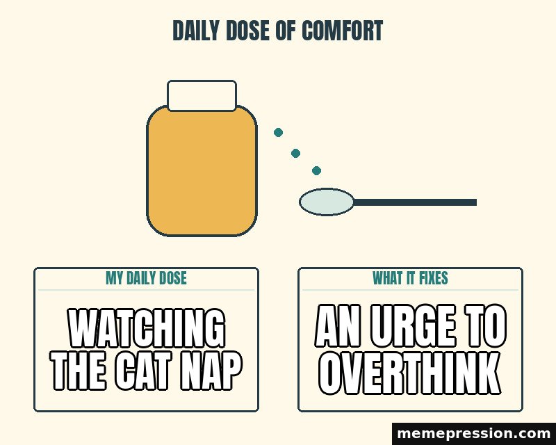 Daily Dose of Comfort meme: Watching the cat nap / An urge to overthink