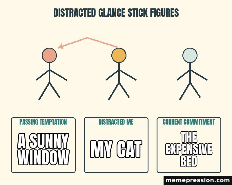Distracted Glance Stick Figures meme: A sunny window / My cat / The expensive bed