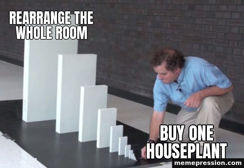 Domino Effect meme: Rearrange the whole room / Buy one houseplant