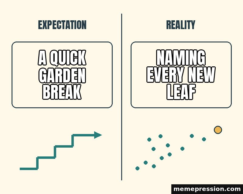 Expectation vs Reality meme: A quick garden break / Naming every new leaf