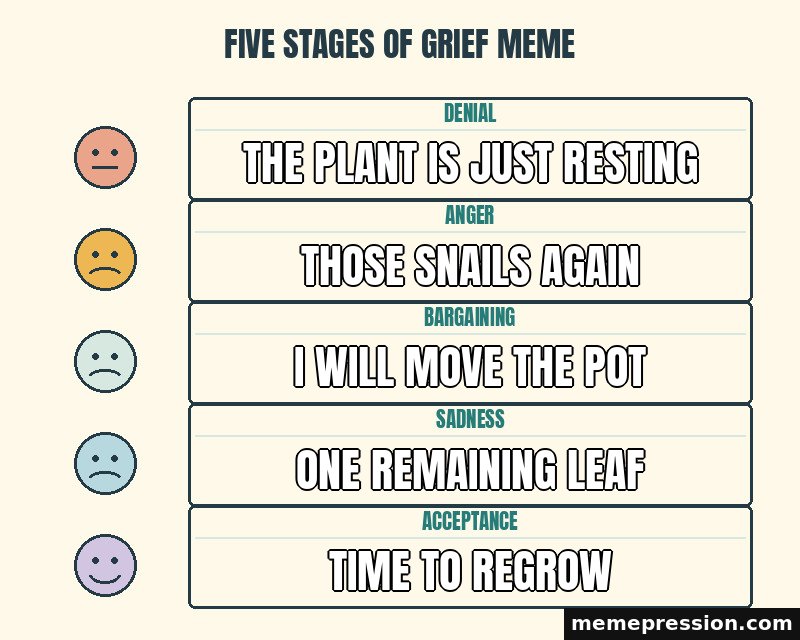 Five Stages of Grief Meme meme: The plant is just resting / Those snails again / I will move the pot / One remaining leaf / Time to regrow