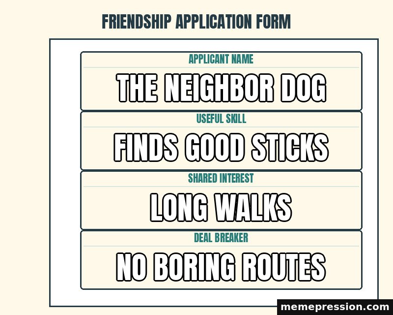 Friendship Application Form meme: The neighbor dog / Finds good sticks / Long walks / No boring routes