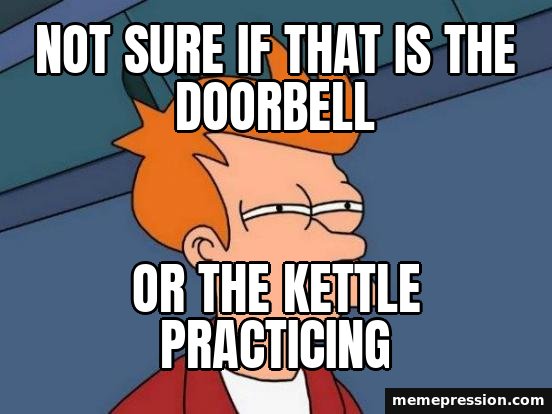 Futurama Fry meme: Not sure if that is the doorbell / Or the kettle practicing