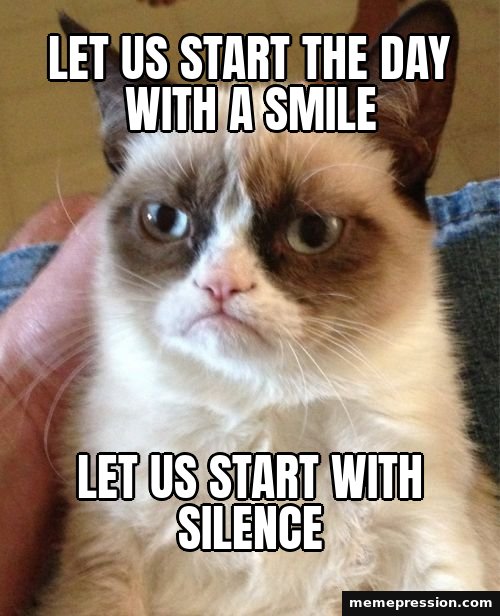 Grumpy Cat meme: Let us start the day with a smile / Let us start with silence