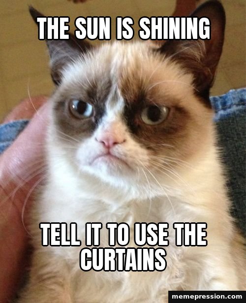 Grumpy Cat meme: The sun is shining / Tell it to use the curtains
