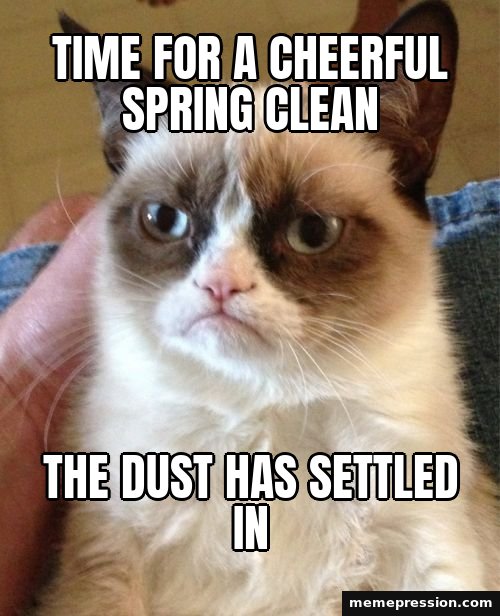 Grumpy Cat meme: Time for a cheerful spring clean / The dust has settled in