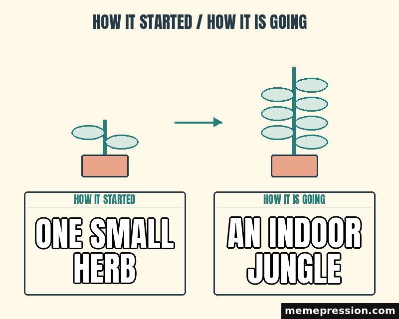 How It Started / How It Is Going meme: One small herb / An indoor jungle