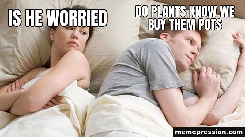 I Bet He's Thinking About Other Women meme: Is he worried / Do plants know we buy them pots