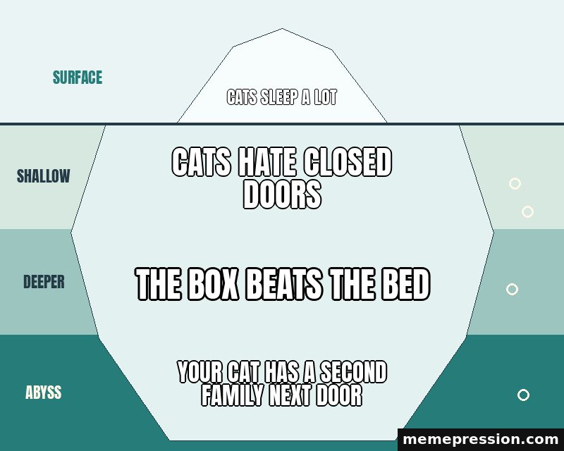 Iceberg Chart meme: Cats sleep a lot / Cats hate closed doors / The box beats the bed / Your cat has a second family next door