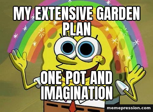 Imagination SpongeBob meme: My extensive garden plan / One pot and imagination