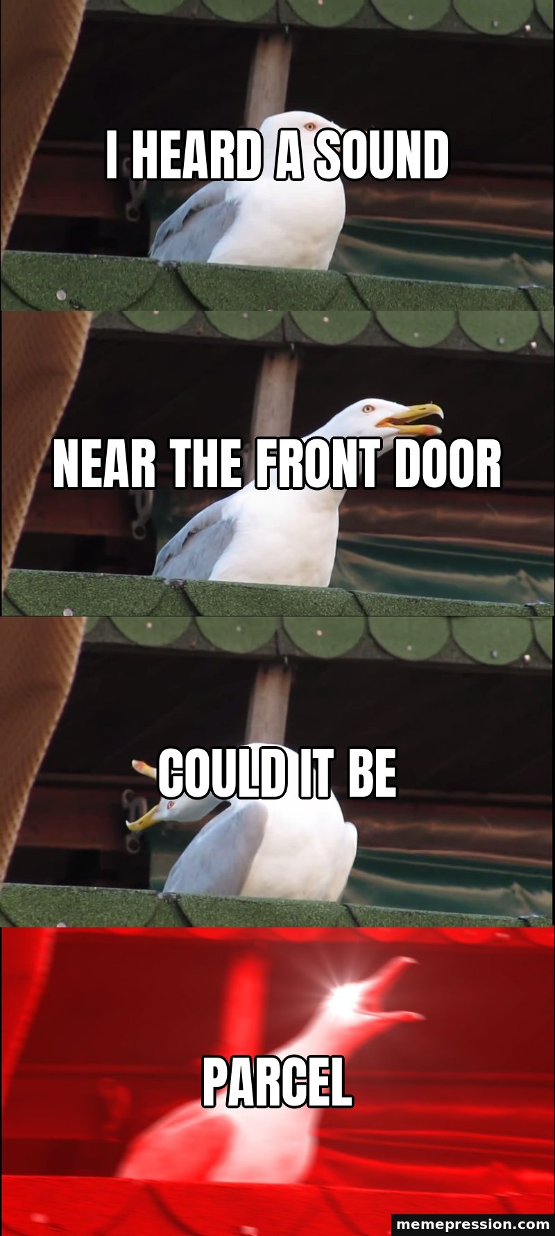 Inhaling Seagull meme: I heard a sound / Near the front door / Could it be / PARCEL