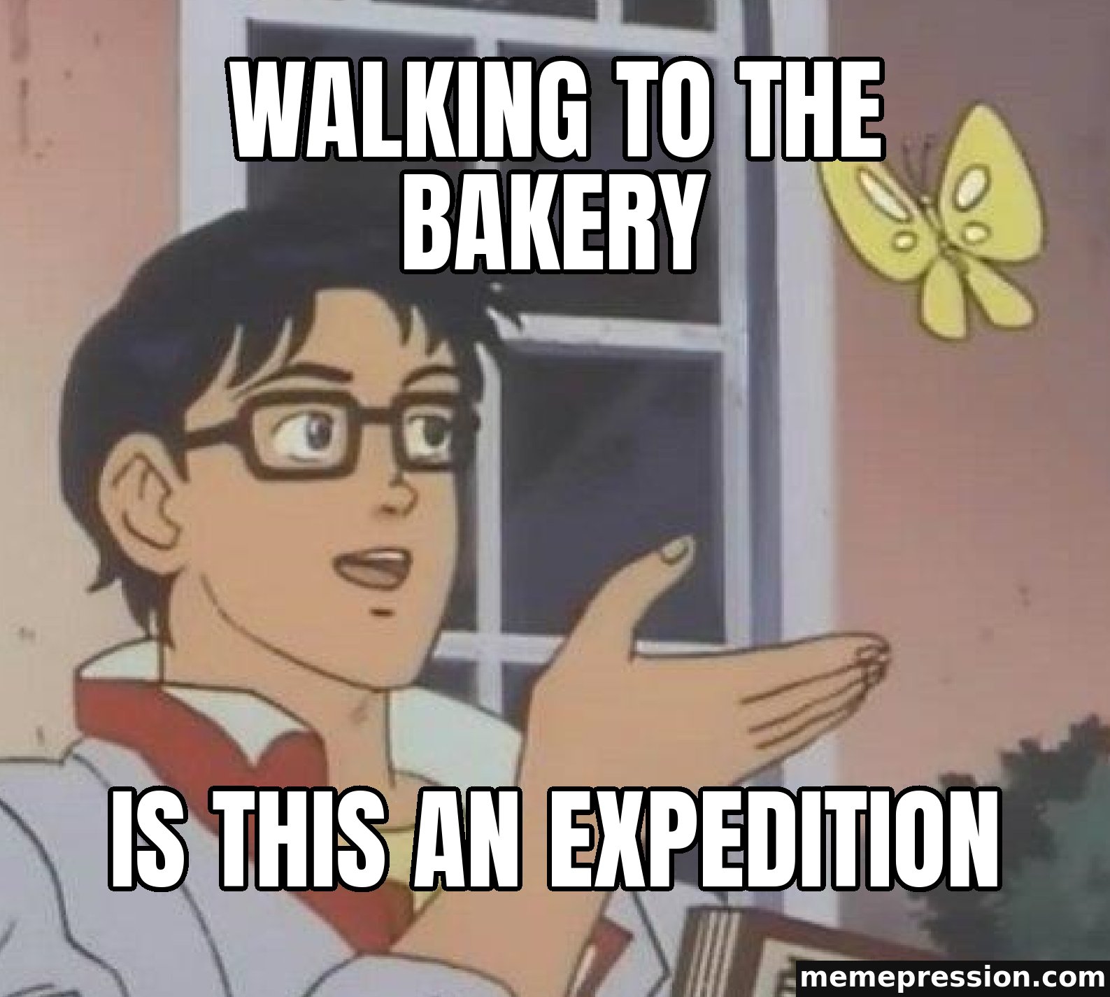 Is This a Pigeon meme: Walking to the bakery / Is this an expedition