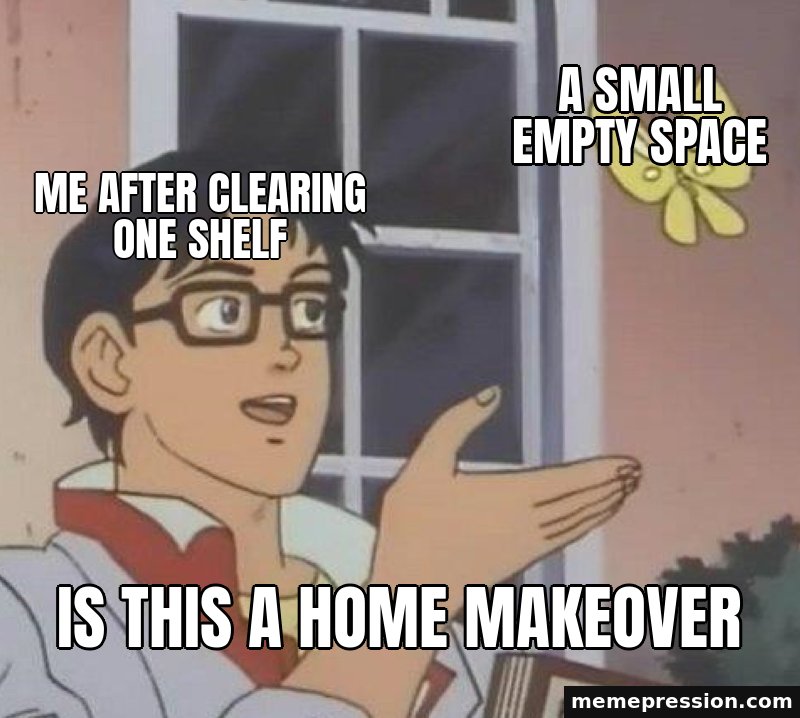Is This a Butterfly meme: Me after clearing one shelf / A small empty space / Is this a home makeover
