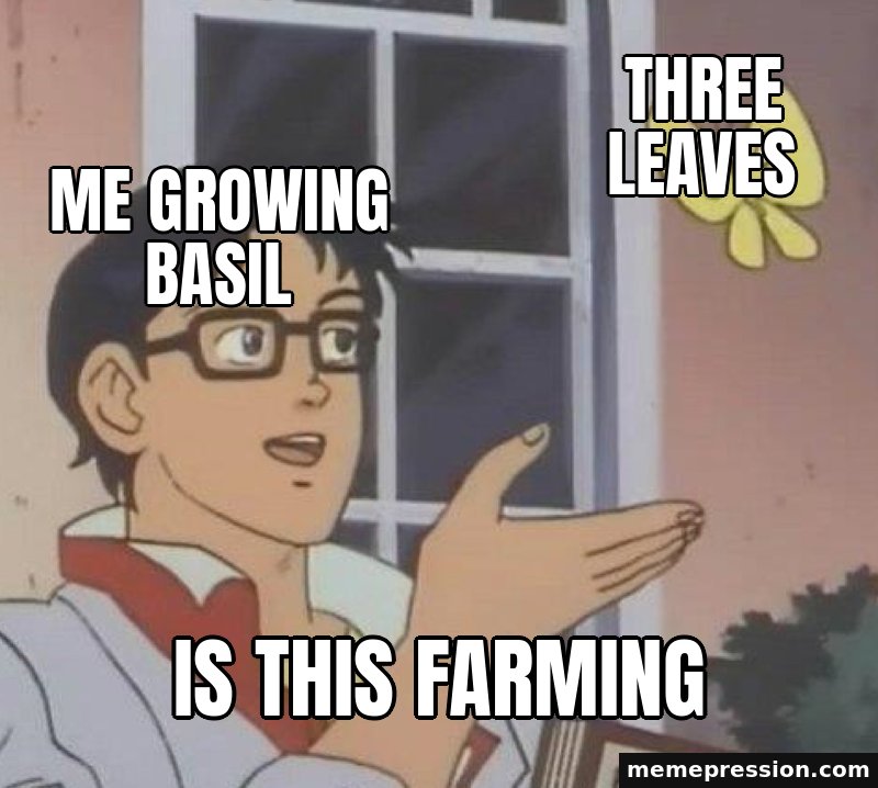 Is This a Butterfly meme: Me growing basil / Three leaves / Is this farming