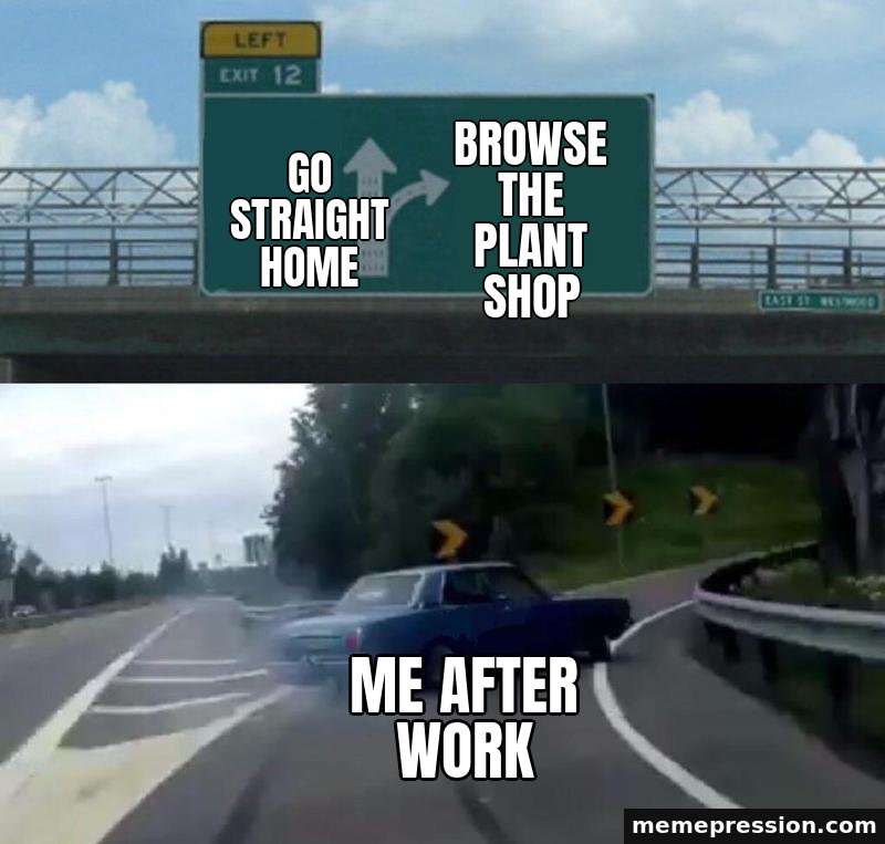Left Exit 12 Off-Ramp meme: Go straight home / Browse the plant shop / Me after work