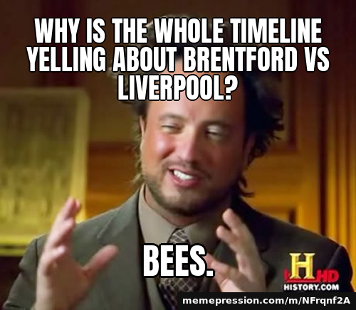 Why is the whole timeline yelling about Brentford vs Liverpool? / Bees.