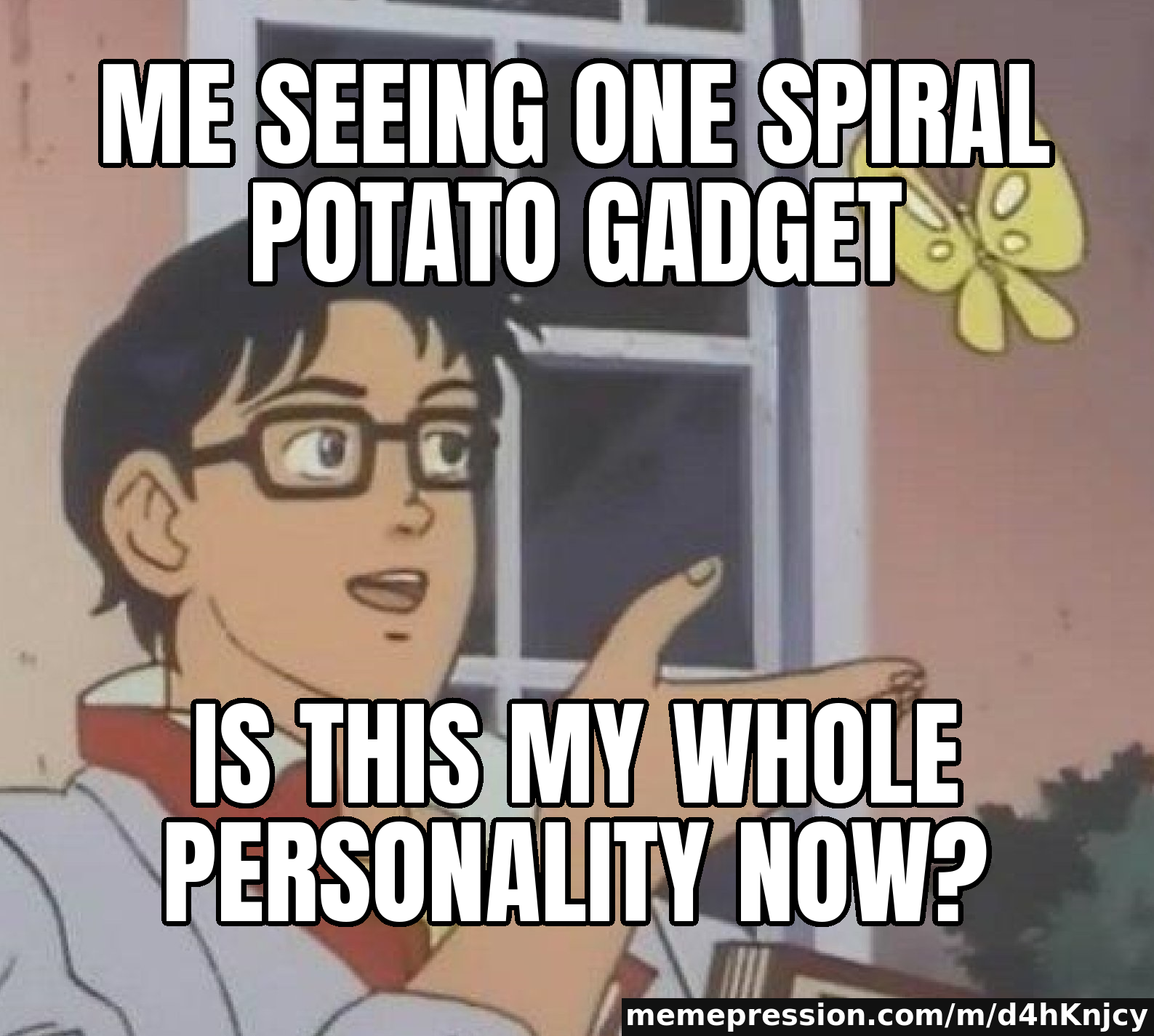 Me seeing one spiral potato gadget / Is this my whole personality now?