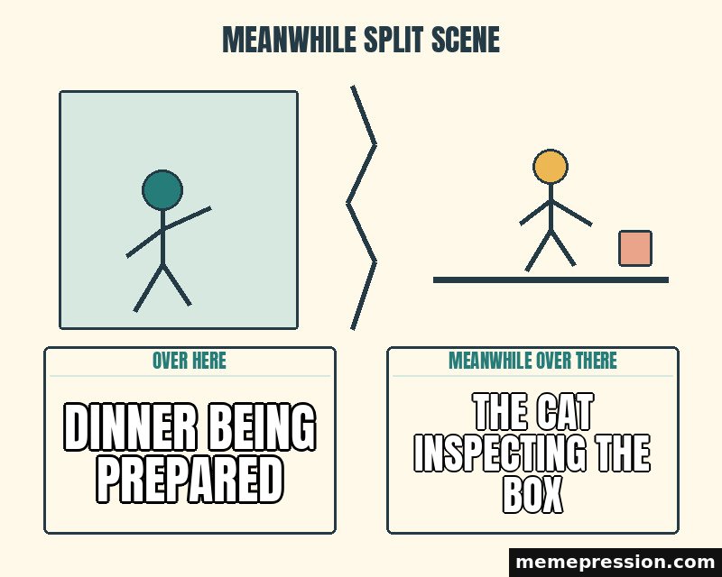 Meanwhile Split Scene meme: Dinner being prepared / The cat inspecting the box