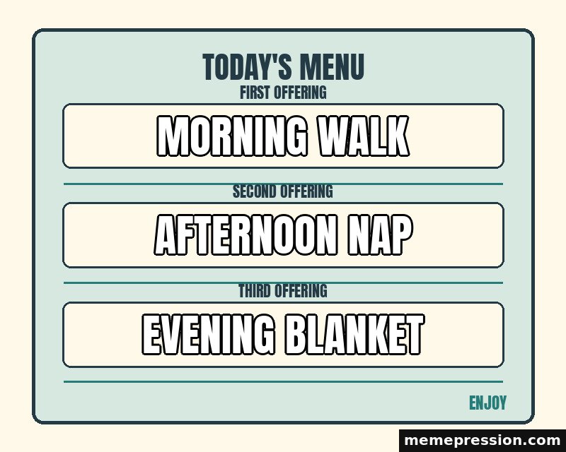 Today Menu Board meme: Morning walk / Afternoon nap / Evening blanket