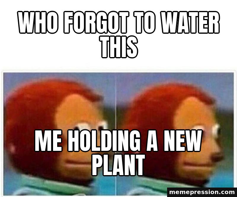 Monkey Puppet meme: Who forgot to water this / Me holding a new plant