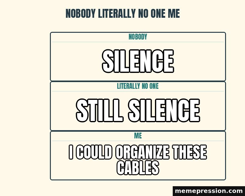 Nobody Literally No One Me meme: Silence / Still silence / I could organize these cables