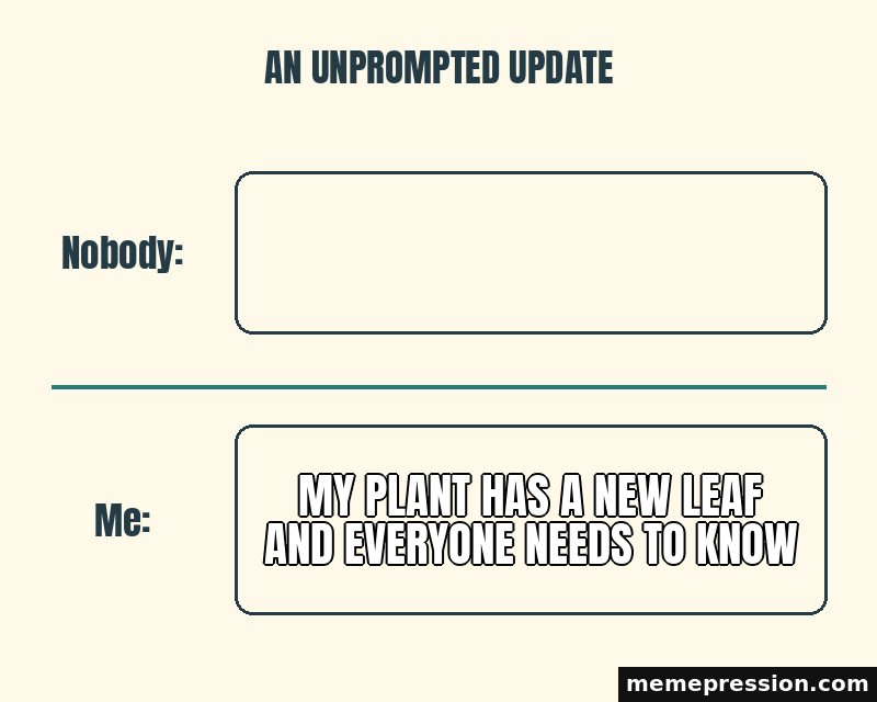 Nobody / Me meme:  / My plant has a new leaf and everyone needs to know
