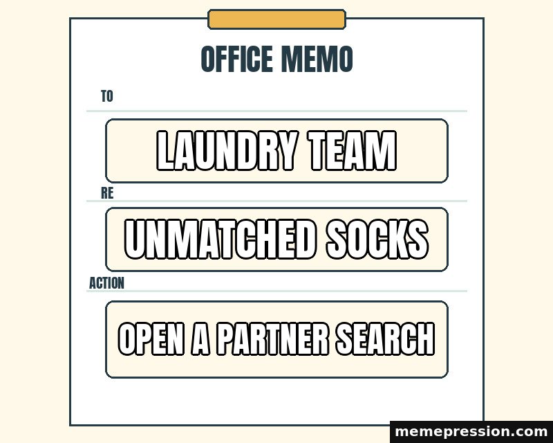 Household Office Memo meme: Laundry team / Unmatched socks / Open a partner search