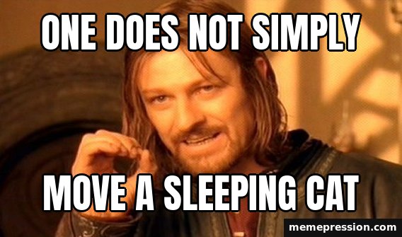 One Does Not Simply meme: One does not simply / Move a sleeping cat