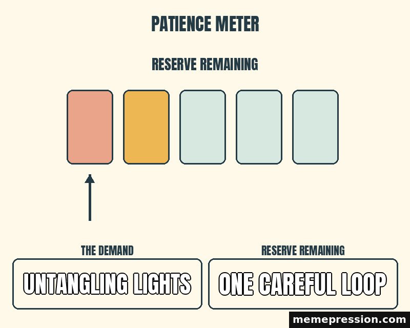 Patience Reserve meme: Untangling lights / One careful loop