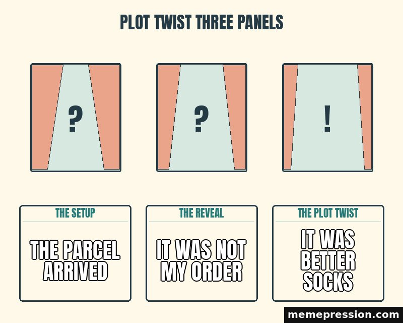 Plot Twist Three Panels meme: The parcel arrived / It was not my order / It was better socks