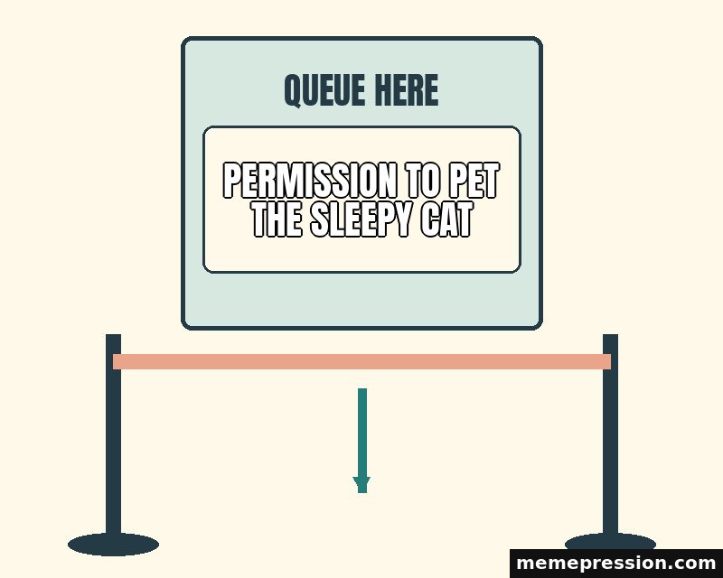 Queue Here meme: Permission to pet the sleepy cat