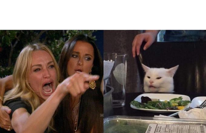 Woman Yelling at a Cat
