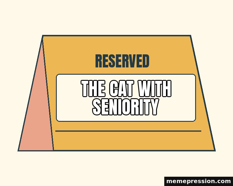 Reserved Table Sign meme: The cat with seniority