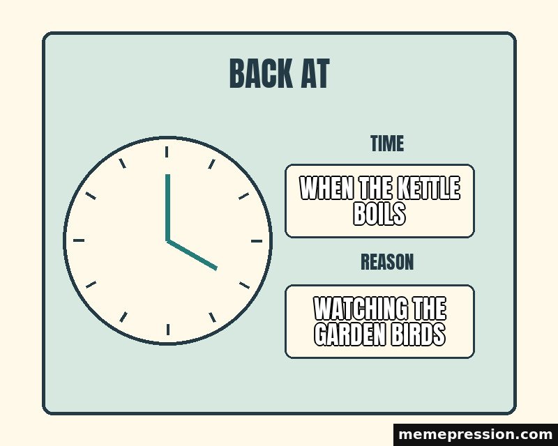 Back at Some Point meme: When the kettle boils / Watching the garden birds