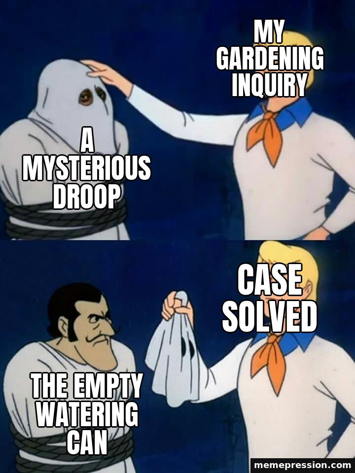 Scooby-Doo Mask Reveal meme: My gardening inquiry / A mysterious droop / Case solved / The empty watering can