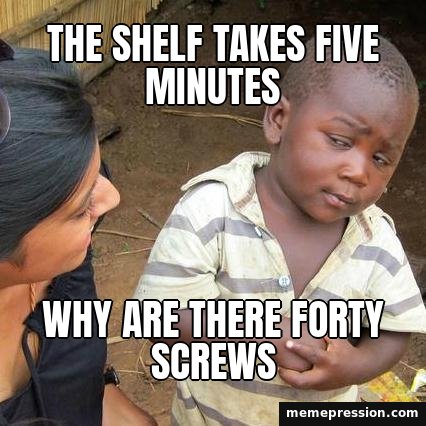 Skeptical Kid meme: The shelf takes five minutes / Why are there forty screws