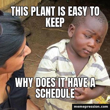 Skeptical Kid meme: This plant is easy to keep / Why does it have a schedule