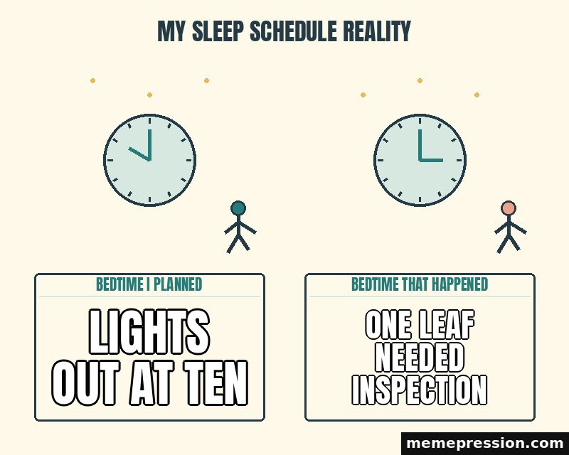 My Sleep Schedule Reality meme: Lights out at ten / One leaf needed inspection