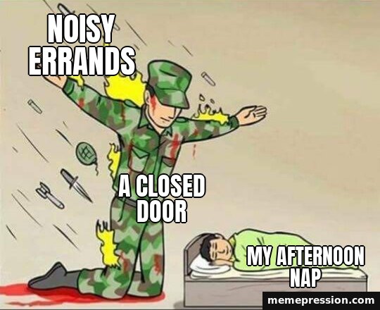 Soldier Protecting Sleeping Child meme: Noisy errands / A closed door / My afternoon nap