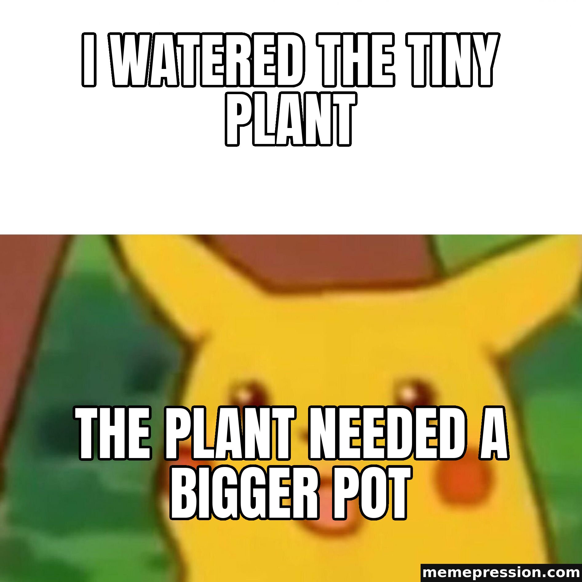 Surprised Pikachu meme: I watered the tiny plant / The plant needed a bigger pot