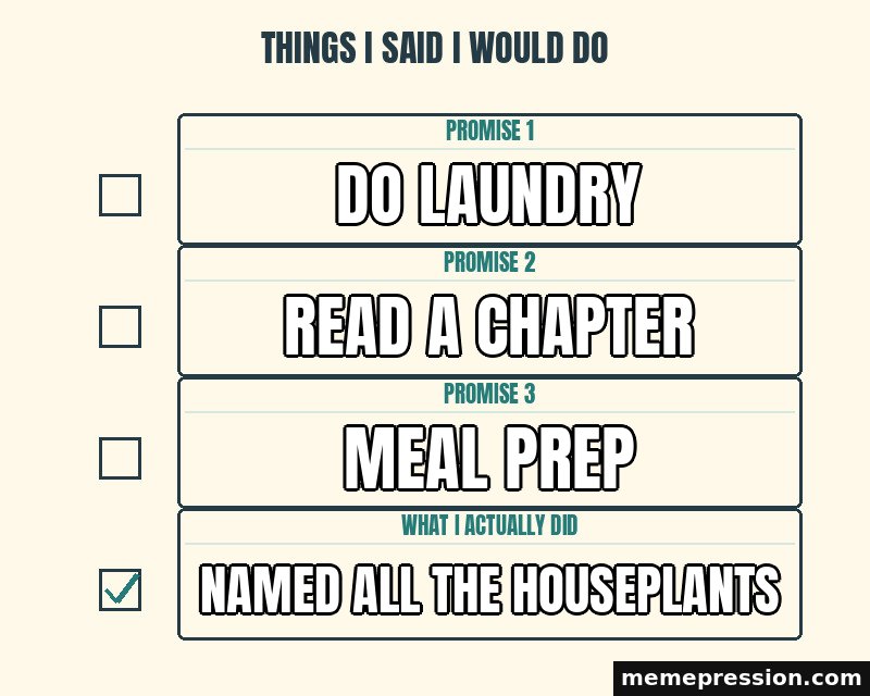 Things I Said I Would Do meme: Do laundry / Read a chapter / Meal prep / Named all the houseplants