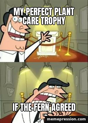 This Is Where I'd Put My Trophy meme: My perfect plant care trophy / If the fern agreed
