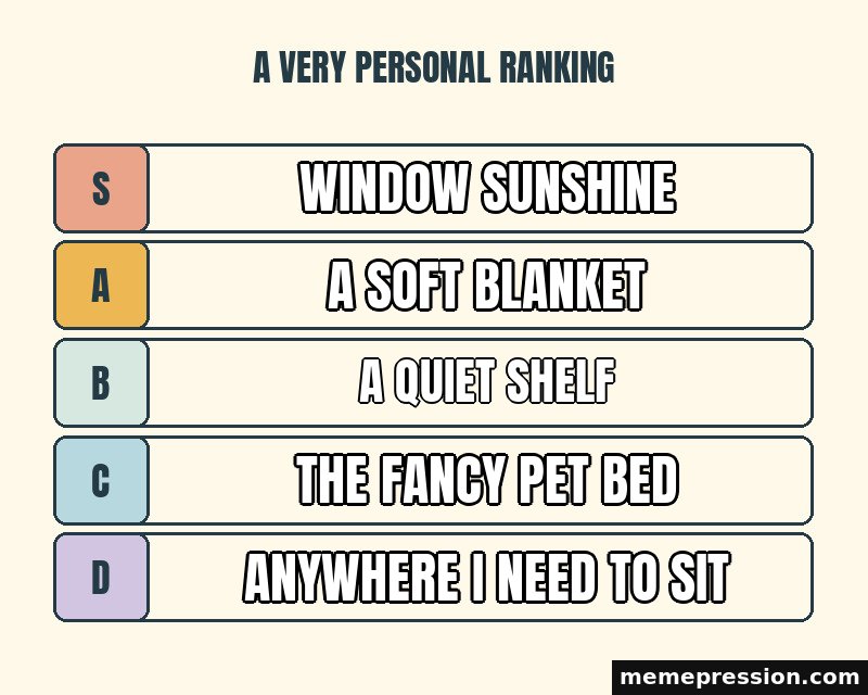 Tier List meme: Window sunshine / A soft blanket / A quiet shelf / The fancy pet bed / Anywhere I need to sit